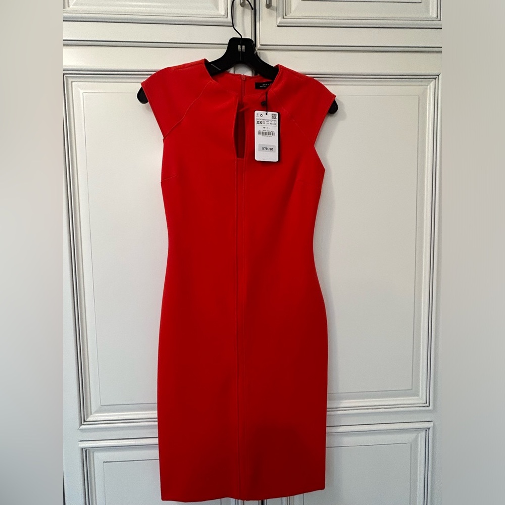 Zara Red dress